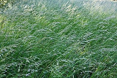 《忍者神龟：施莱德的复仇》新预告 6人模式公布